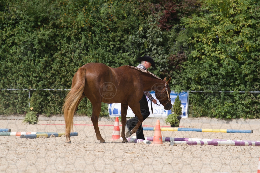 s_batch_A9_00155.jpg